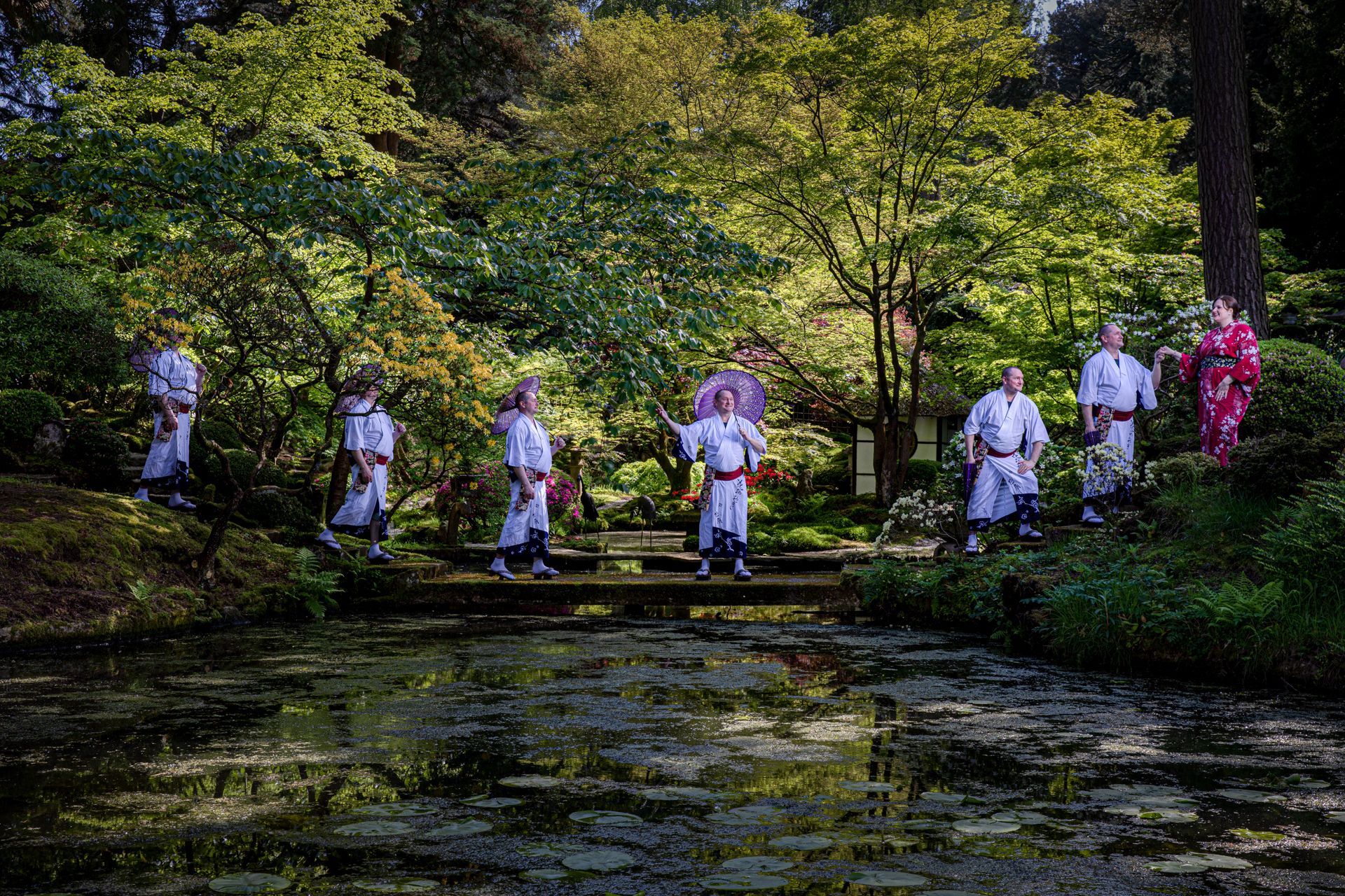 Man in Japanese kimono crossing stepping stones in Tatton Park