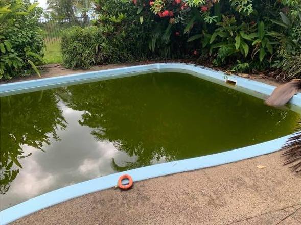 A Dirty Swimming Pool — Pool Technicians on the Cassowary Coast, QLD