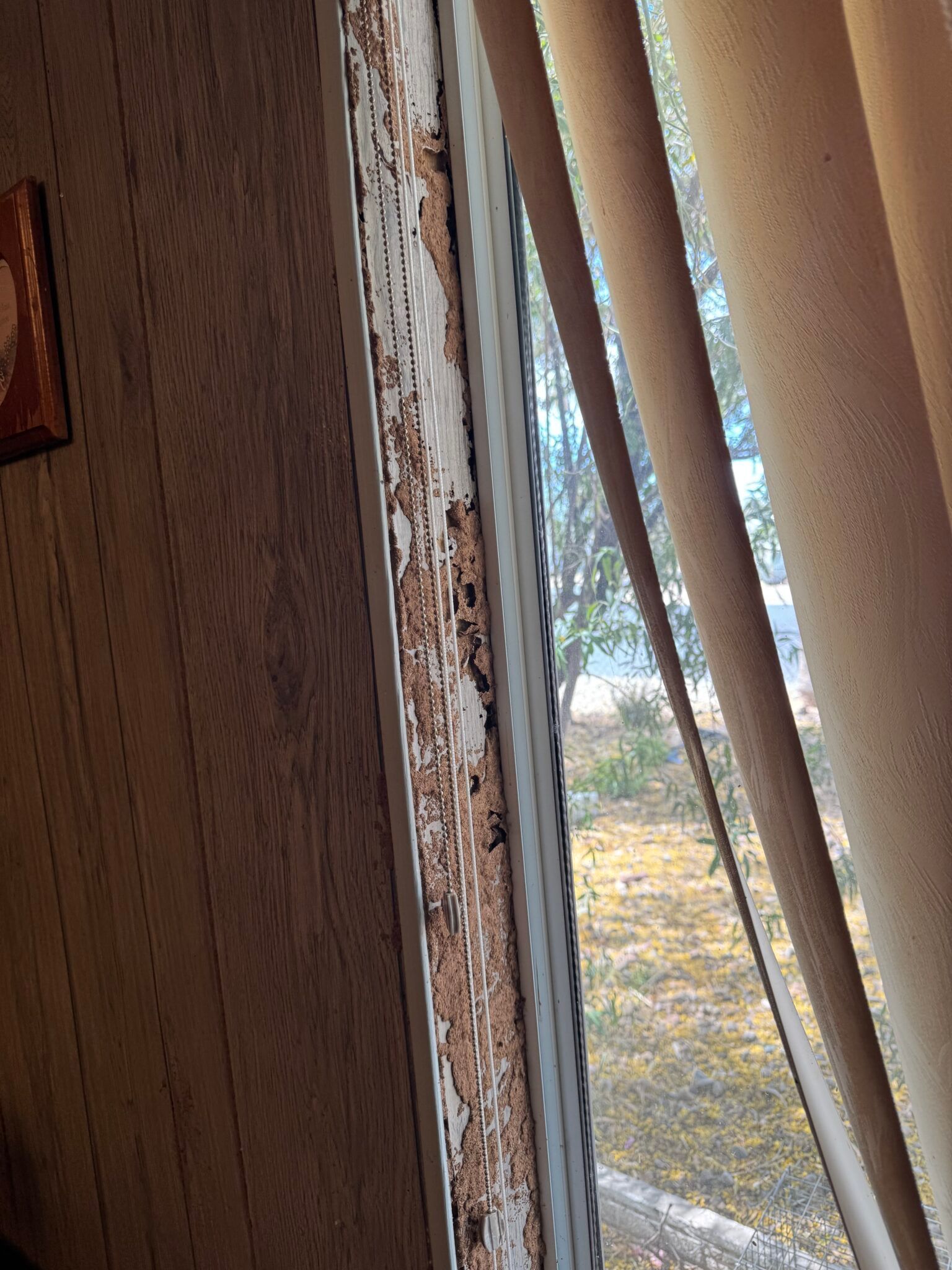 Torn window blinds beside a damaged window frame, with a view of the outdoors beyond.
