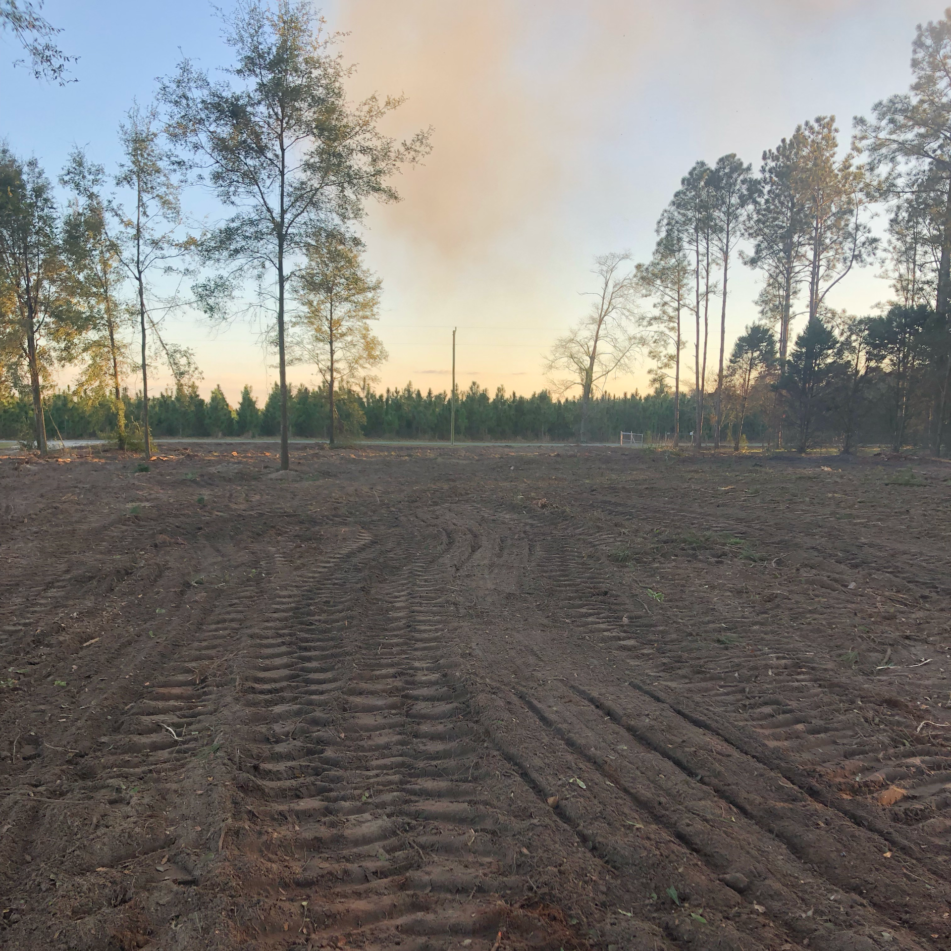 Cleared field with tire tracks, surrounded by trees. Hazy sky.