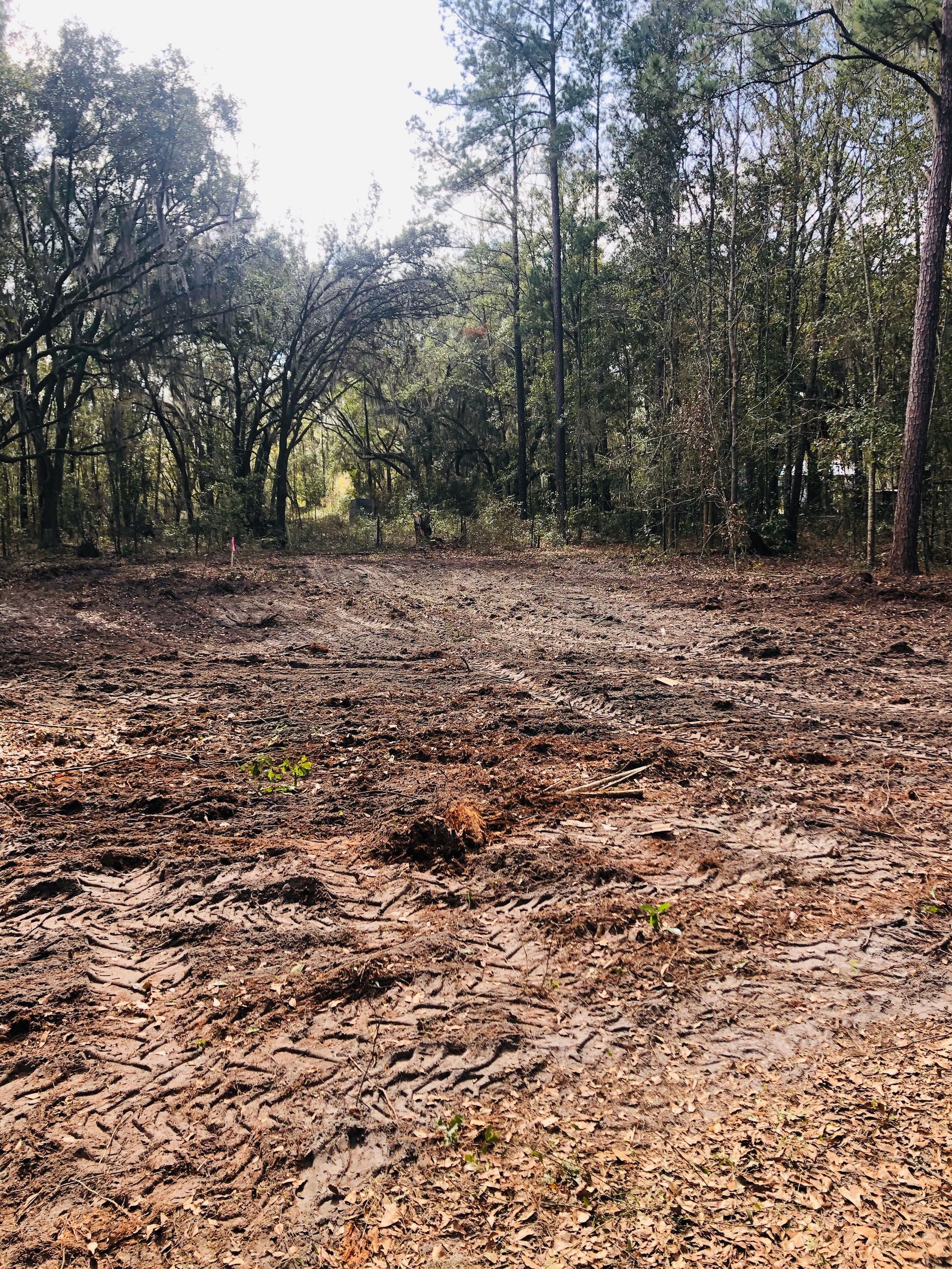 Cleared dirt lot with tire tracks, surrounded by trees.