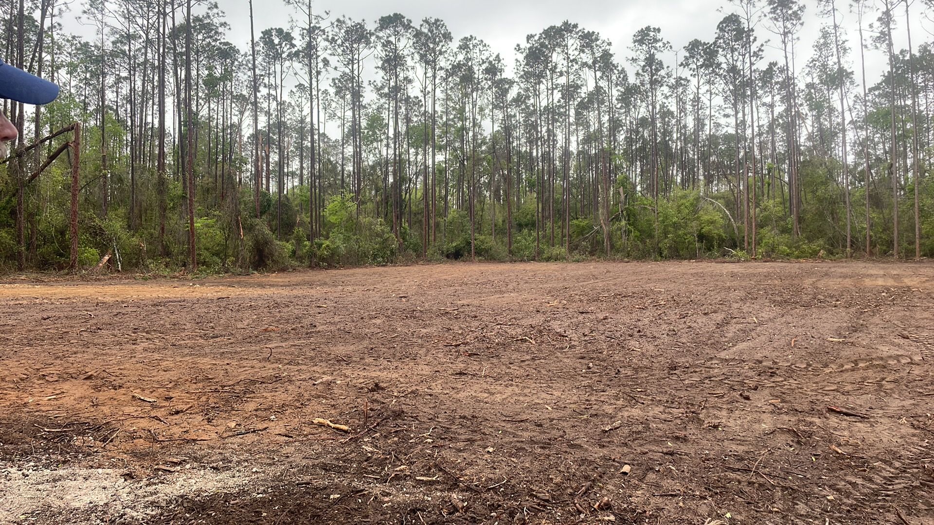 Cleared, reddish-brown earth field with dense forest in the background under a cloudy sky.