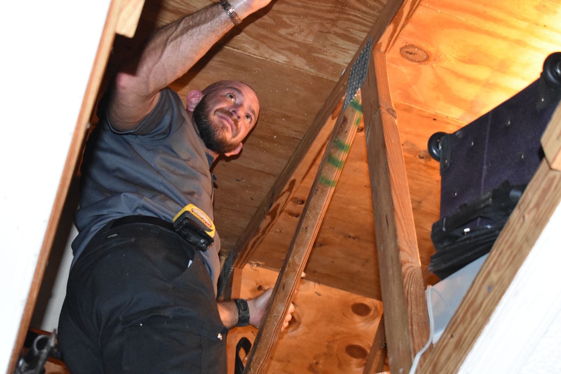 Person inside an attic, holding onto beams. Smiling, looking up. Interior shot.