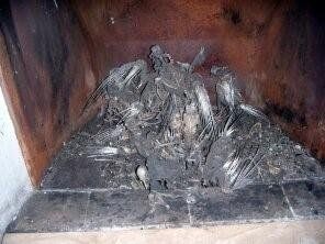 ispezione canna fumaria 10