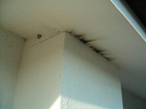 ispezione canna fumaria 11