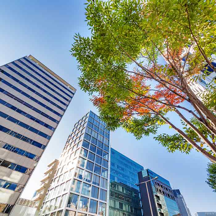 Asset Management — Building with Trees in La Jolla, CA