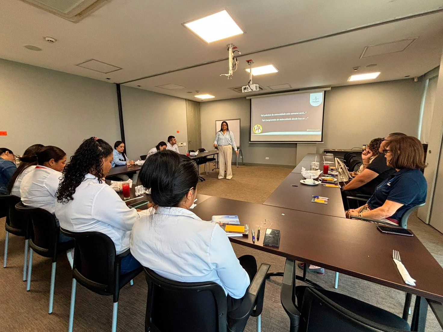 Una mujer presenta a un grupo sentado en una mesa larga. Un proyector muestra texto en una pantalla.