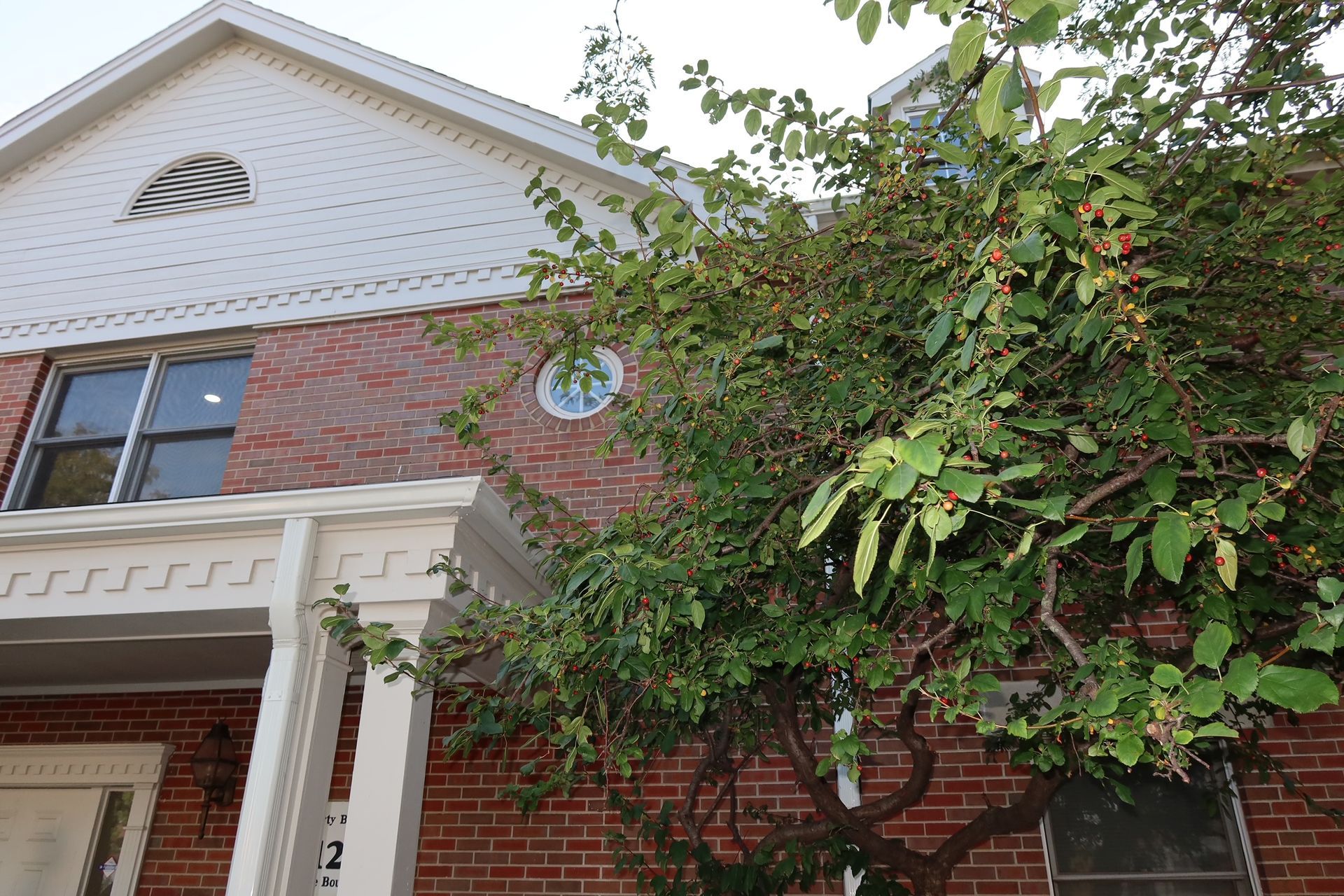 Red brick building with white trim, a tree with green leaves and berries.