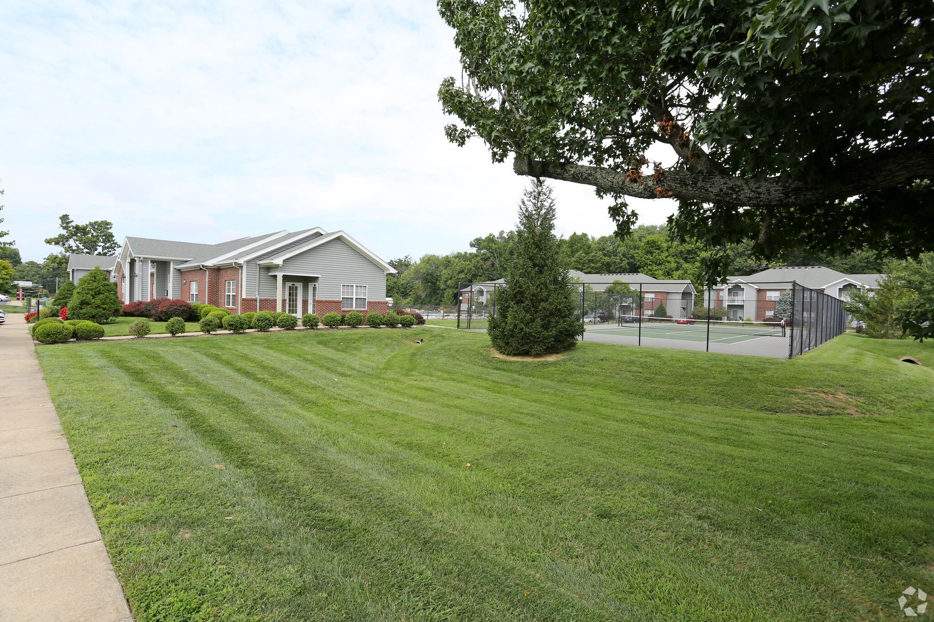 A lush green lawn with a house in the background