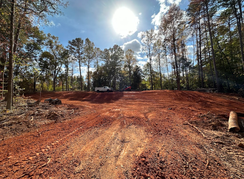 A dirt road in the middle of a forest with the sun shining through the trees