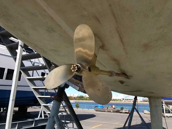 Wahine Propeller