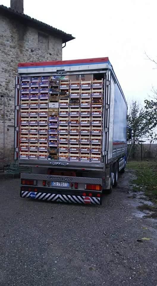 Vista posteriore di un autoarticolato carico di casse di legno accatastate, parcheggiato sulla ghiaia.