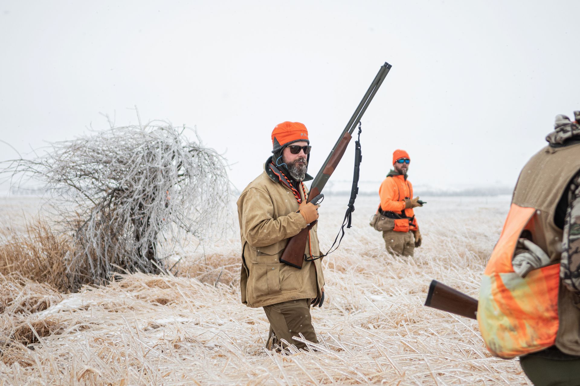 Hunting Pheasants in North Dakota