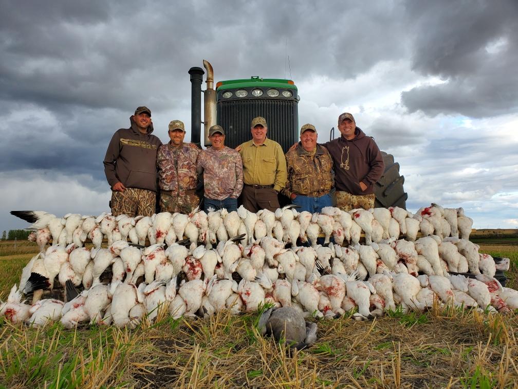 Missouri Snow Goose Hunting