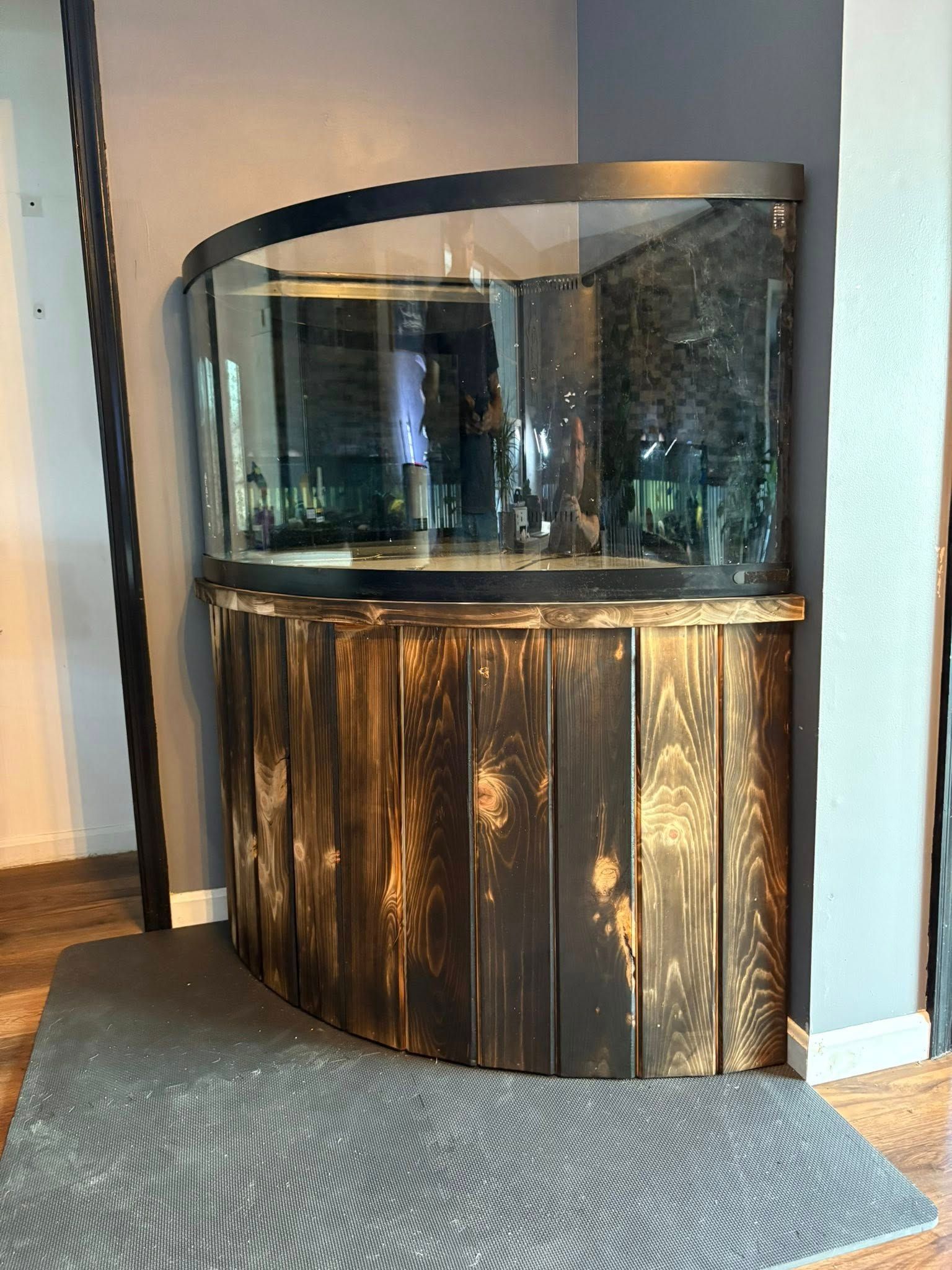Curved corner aquarium on a dark, rustic wooden stand, against a grey wall.