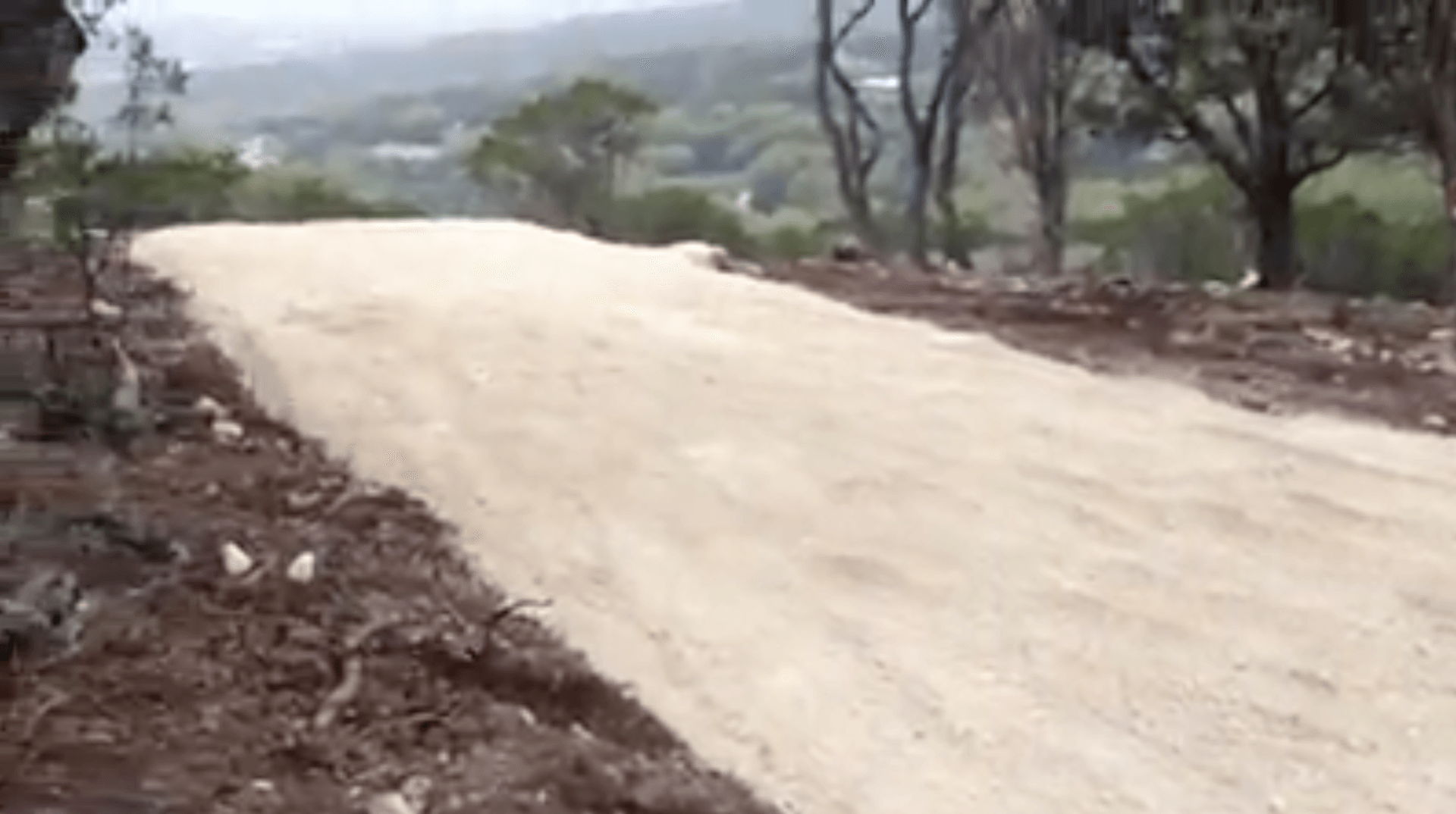 Driveway Clearing New Braunfels Texas