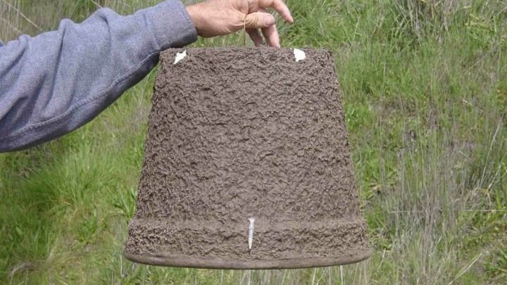 A person is holding a bucket of dirt in their hands.