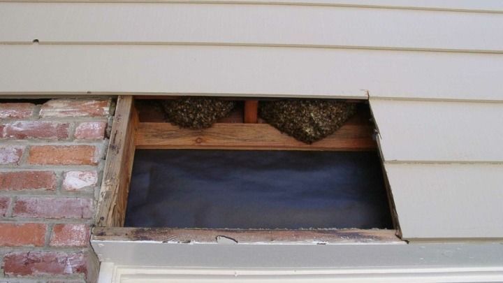 A beehive is sitting under a window on the side of a house.