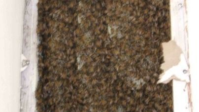 A close up of a wall with a lot of bees on it.