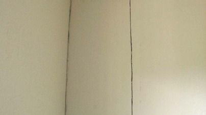 Bay Area Bee Busters