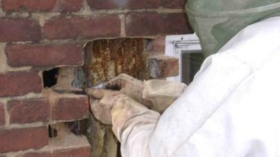 A man in a bee suit is cutting a hole in a brick wall.