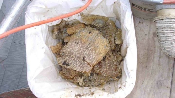 A white container filled with a pile of food is sitting on a wooden table.