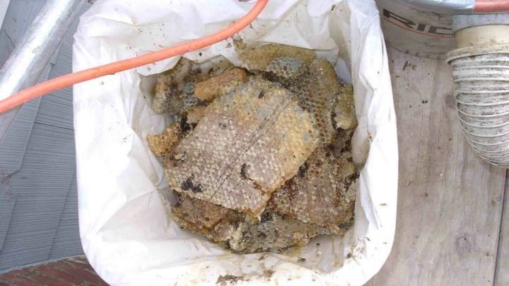 A bag of food is sitting on a wooden table next to a cord.