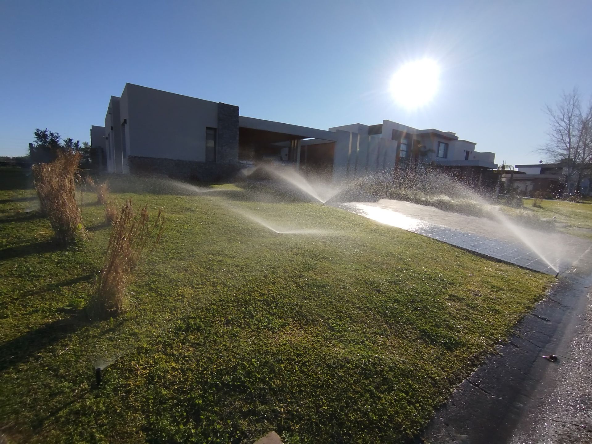Aspersores riegan un césped verde frente a una casa moderna en un día soleado.