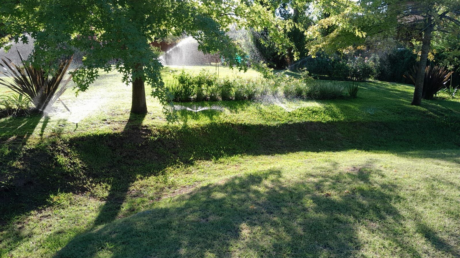 Aspersores que riegan un césped verde bajo la sombra de los árboles en un entorno similar a un parque.