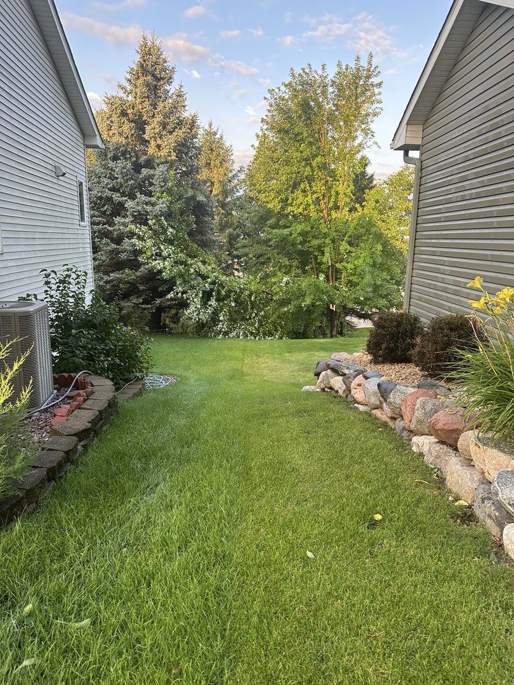 Lush green backyard between two houses, with trees and rock garden under a blue sky.
