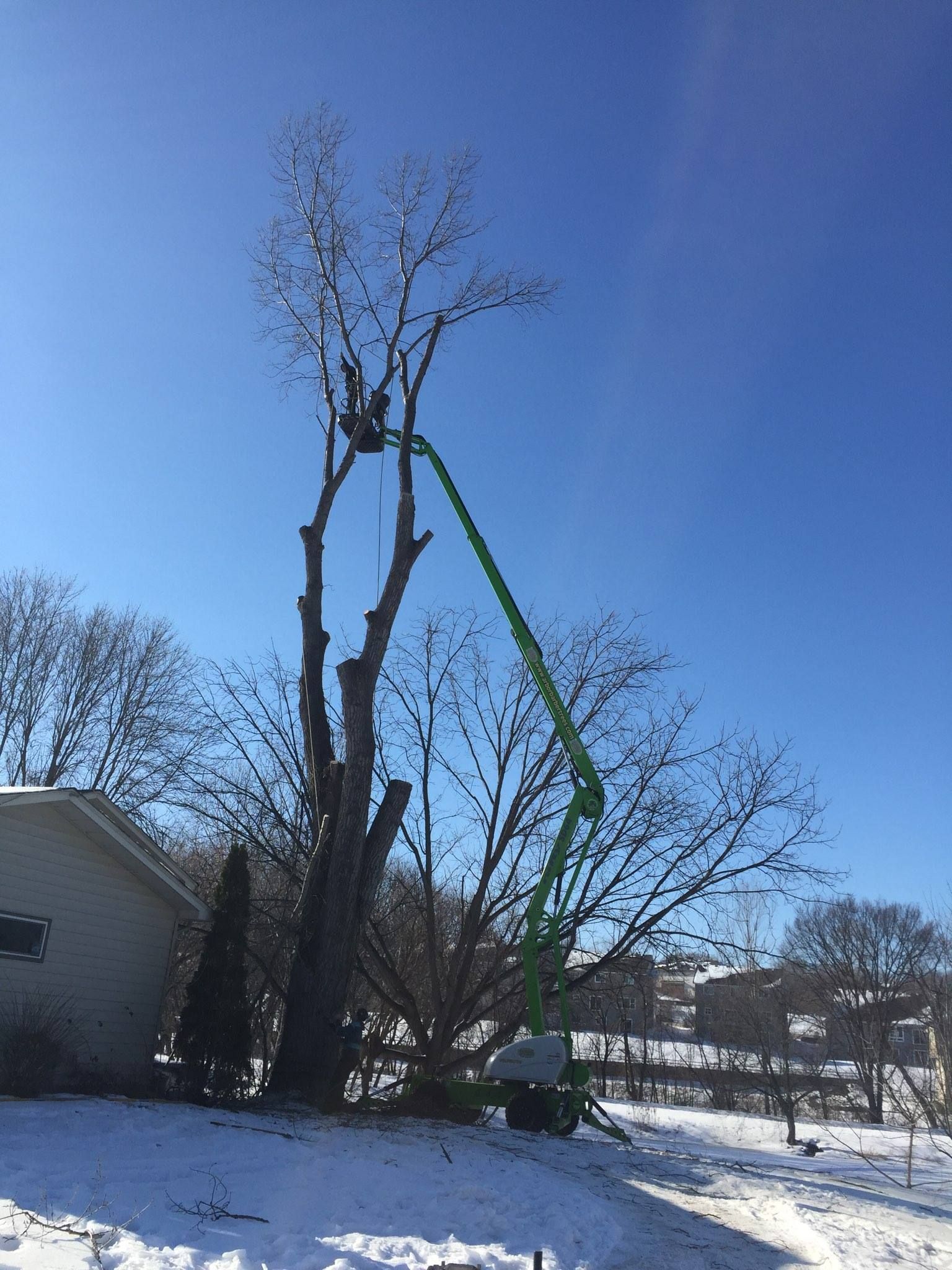 Tree being trimmed by a worker in a green lift against a blue sky, snow on the ground.