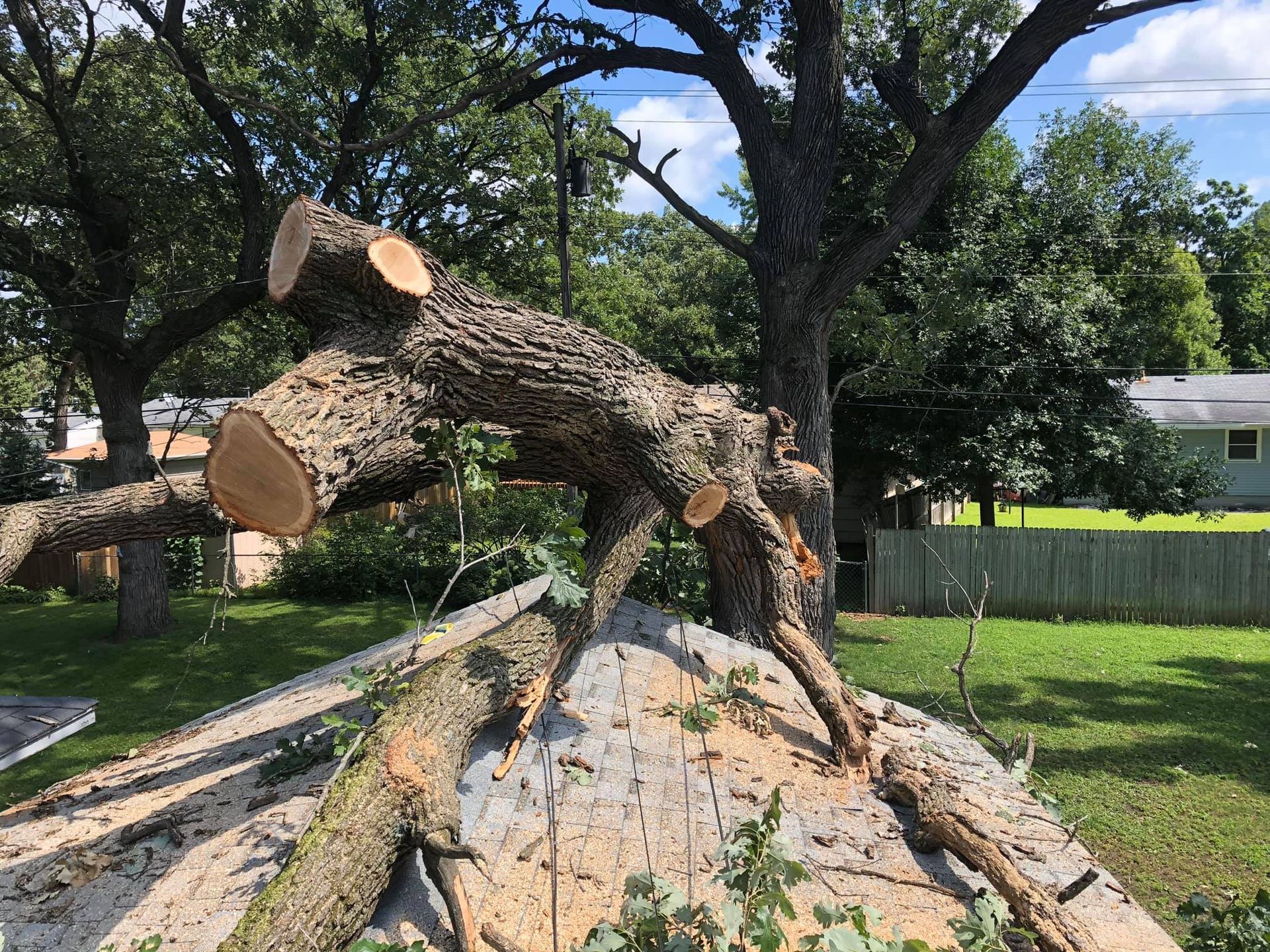 Cut tree limbs on a roof, green grass and wooden fence in the background, blue sky.