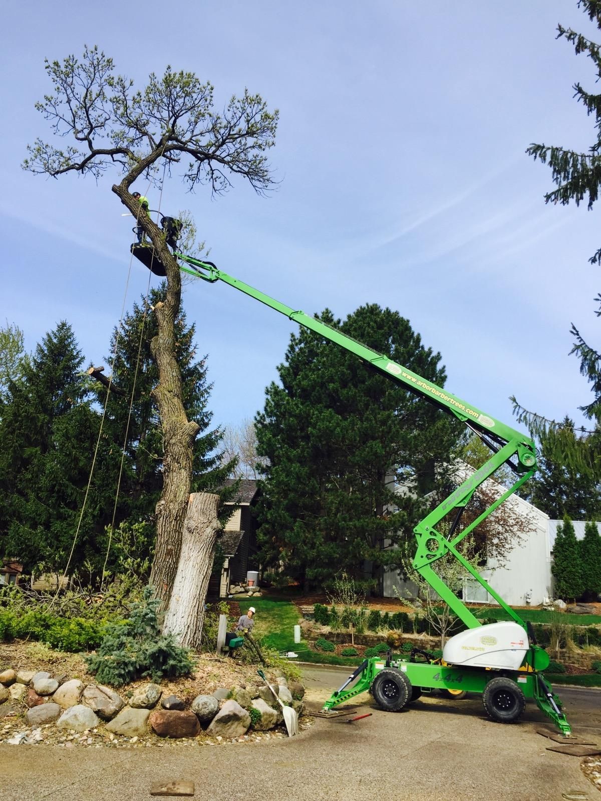 A green boom lift trimming a tall tree in a residential yard on a partly cloudy day.