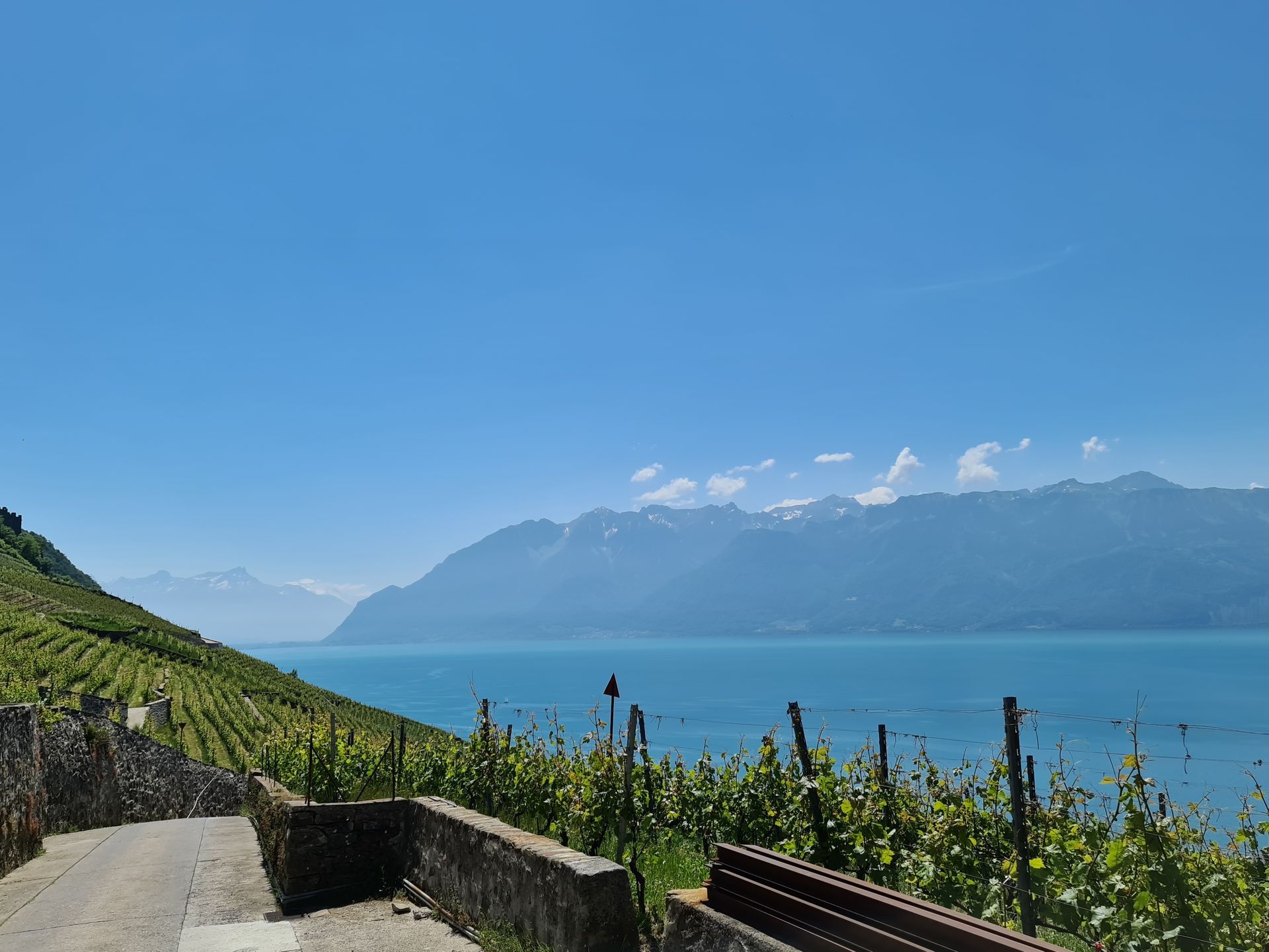 philippe rouge photo 13