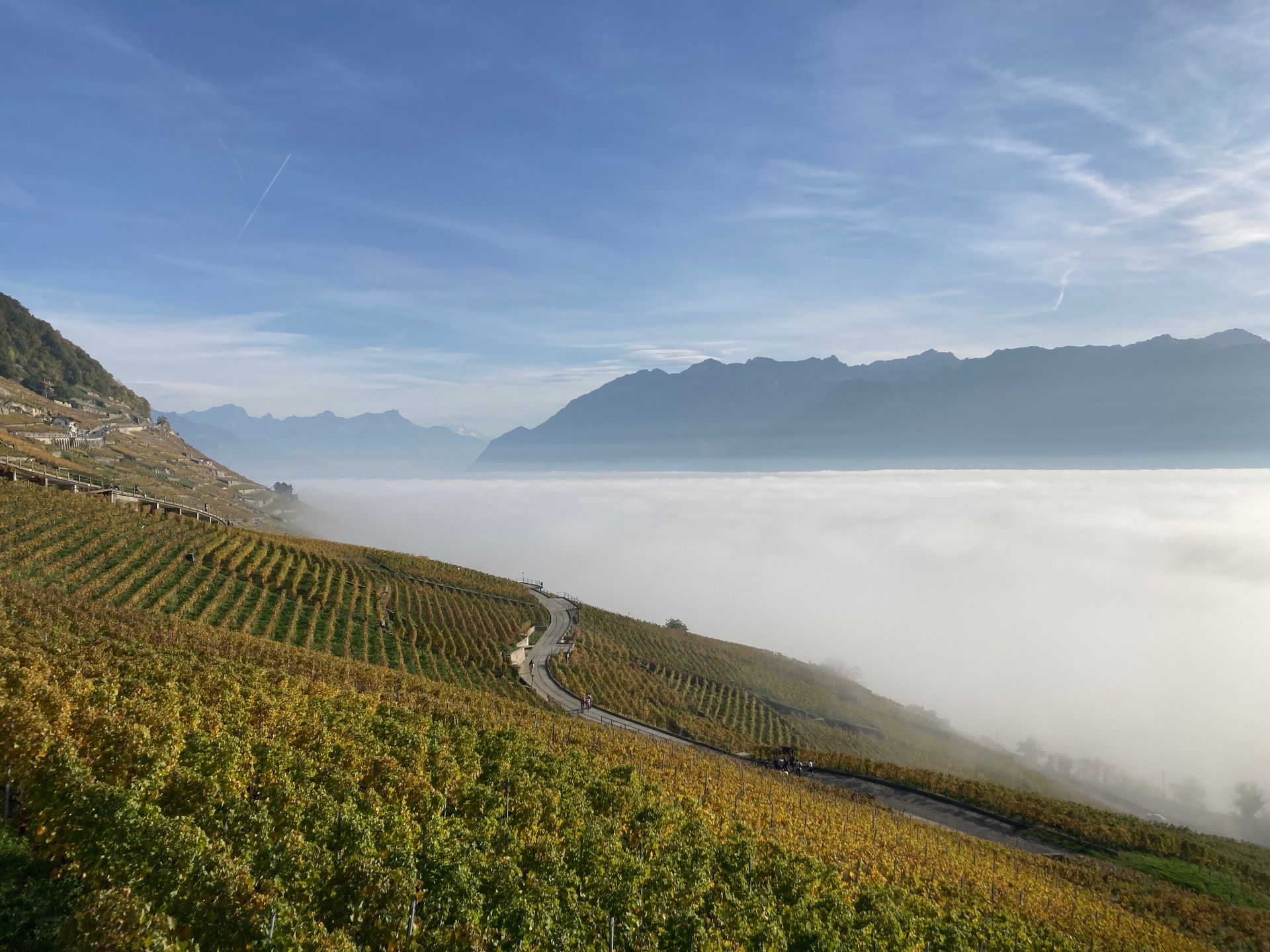 philippe rouge photo 32