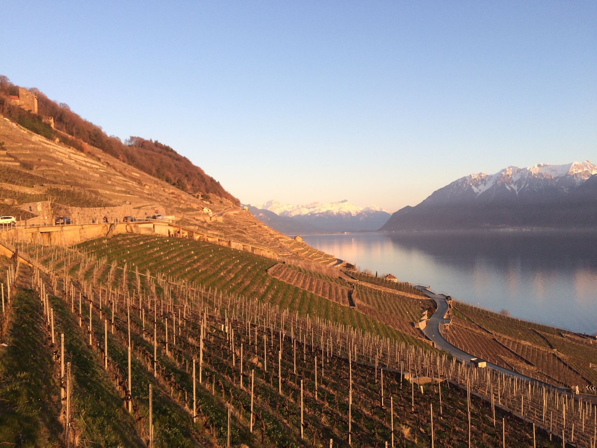 philippe rouge photo 25