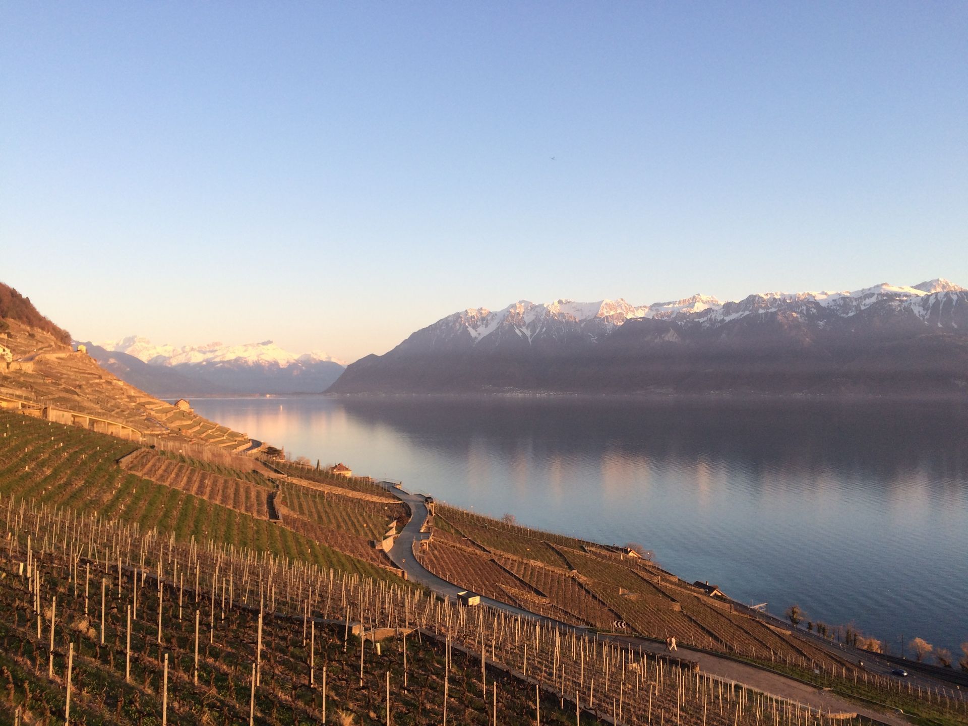 philippe rouge photo 26