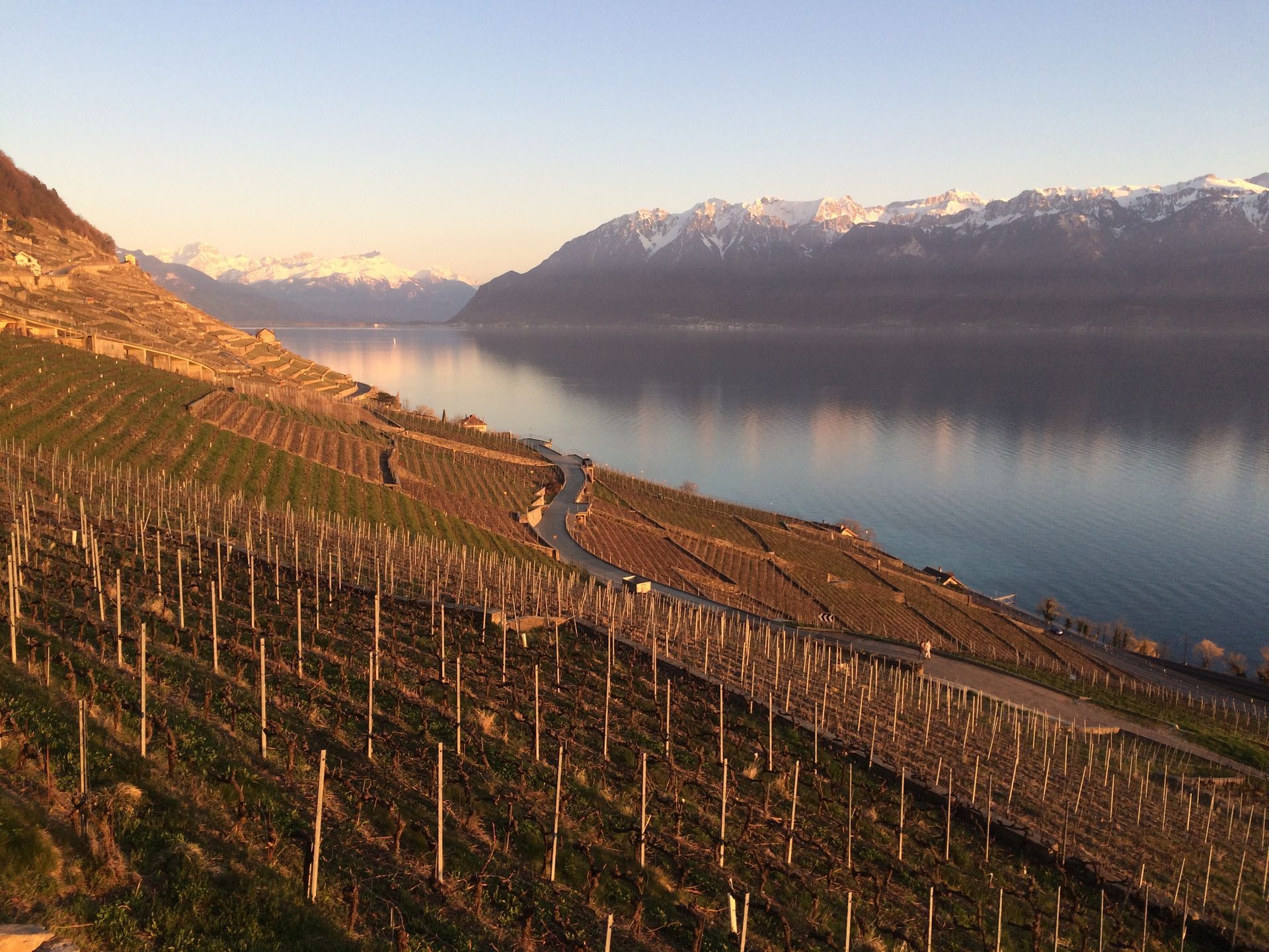 philippe rouge photo 18