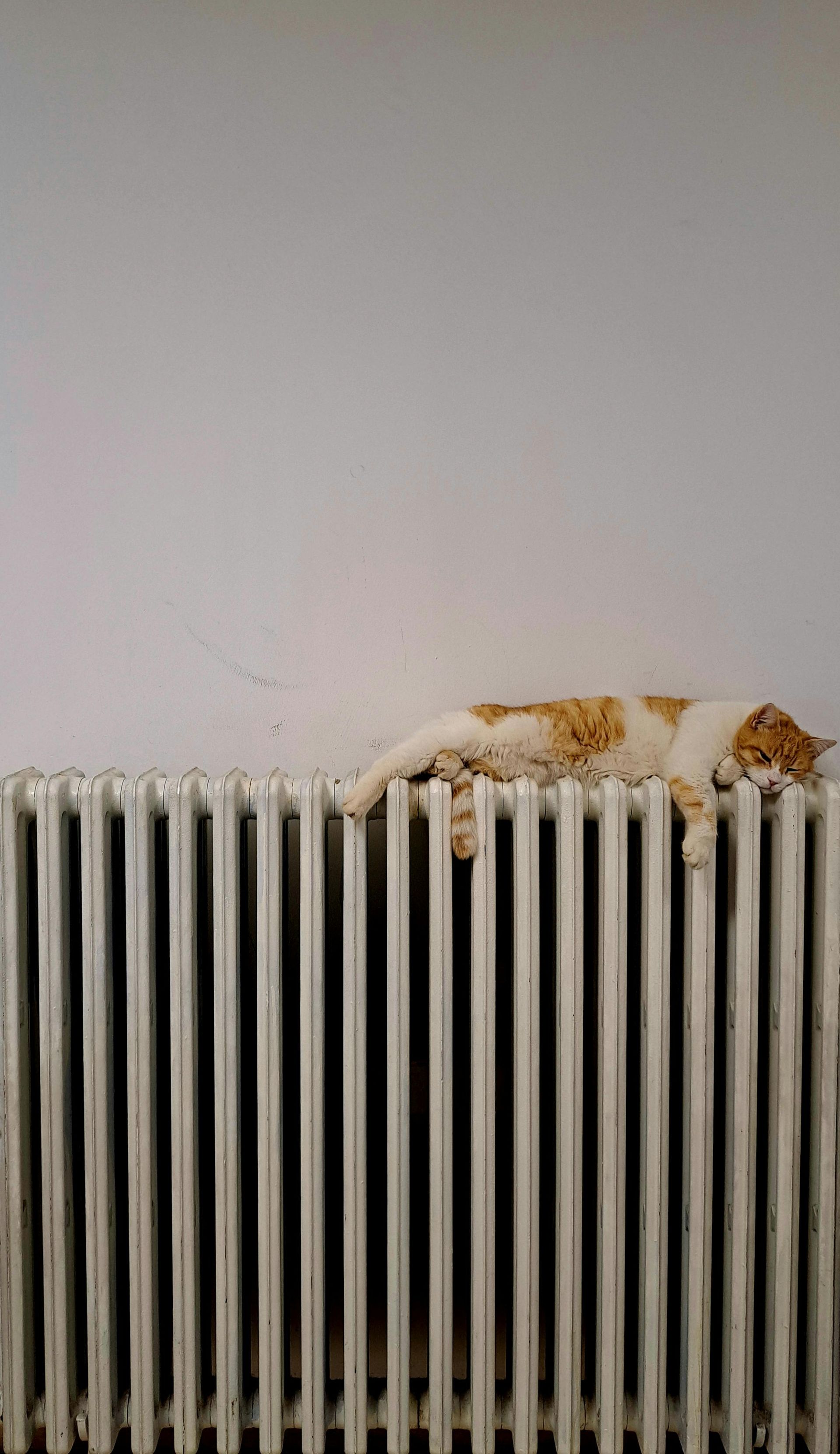 An orange and white tabby cat sleeps stretched out on top of a white metal radiator against a plain wall.