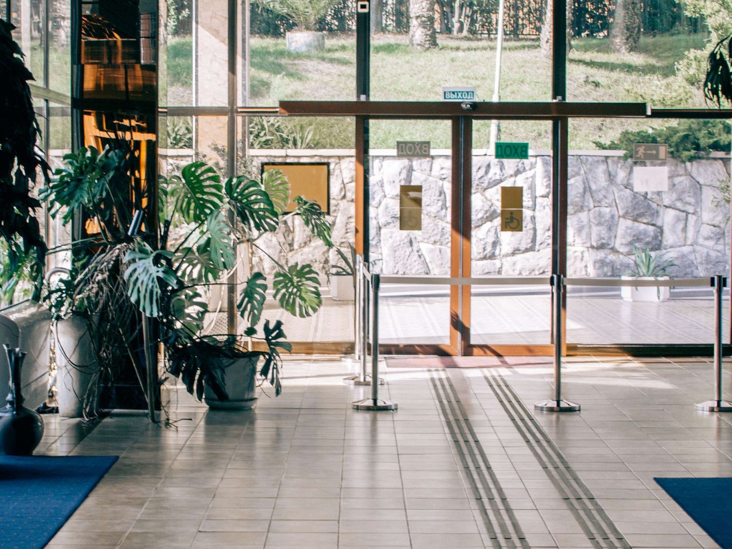 A large lobby with a lot of windows and plants.