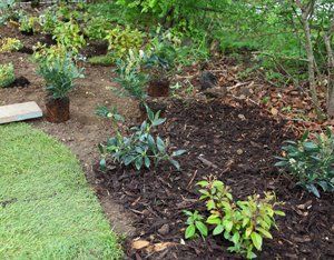 rubbish removal wolverhampton snappy response