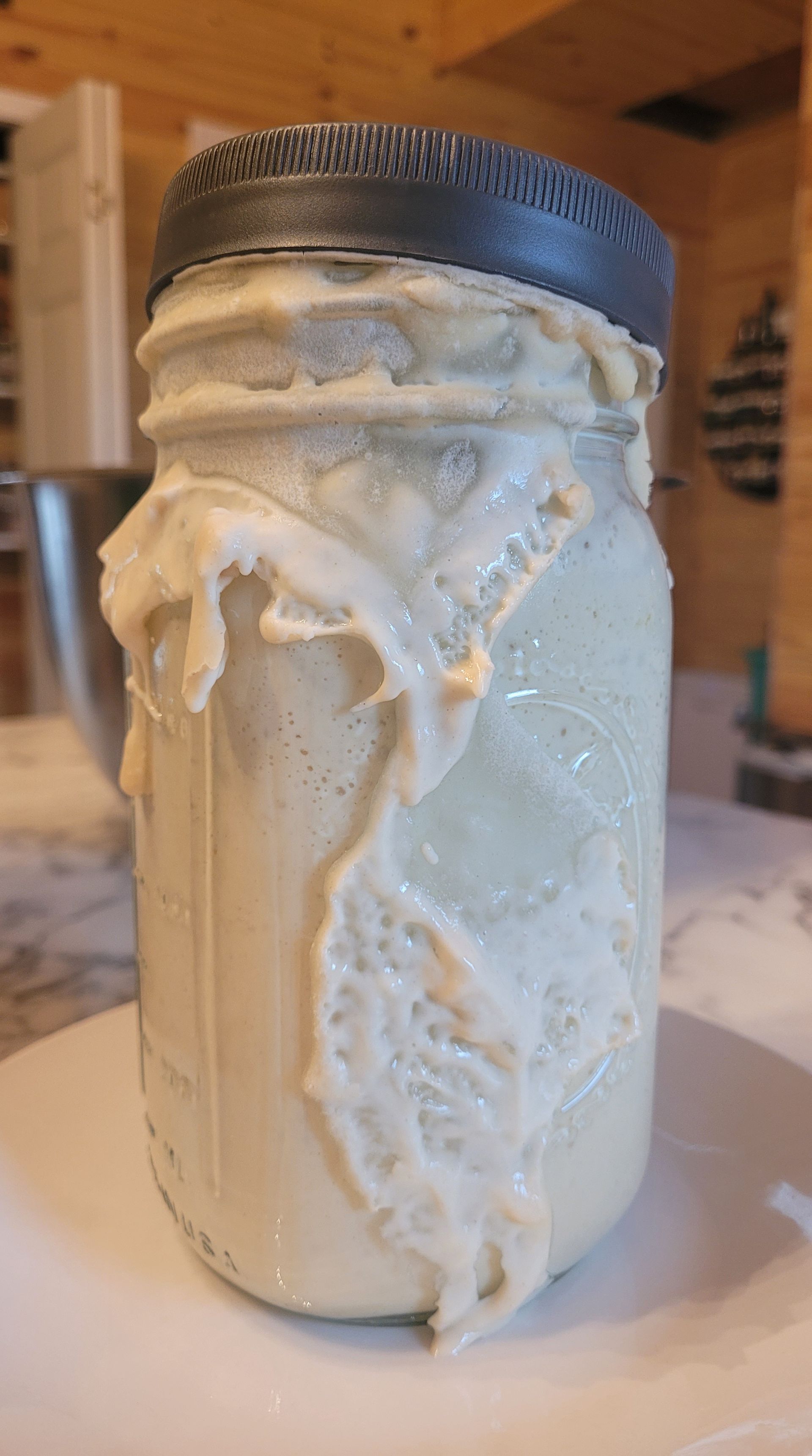 Dehydrated Sourdough Starter