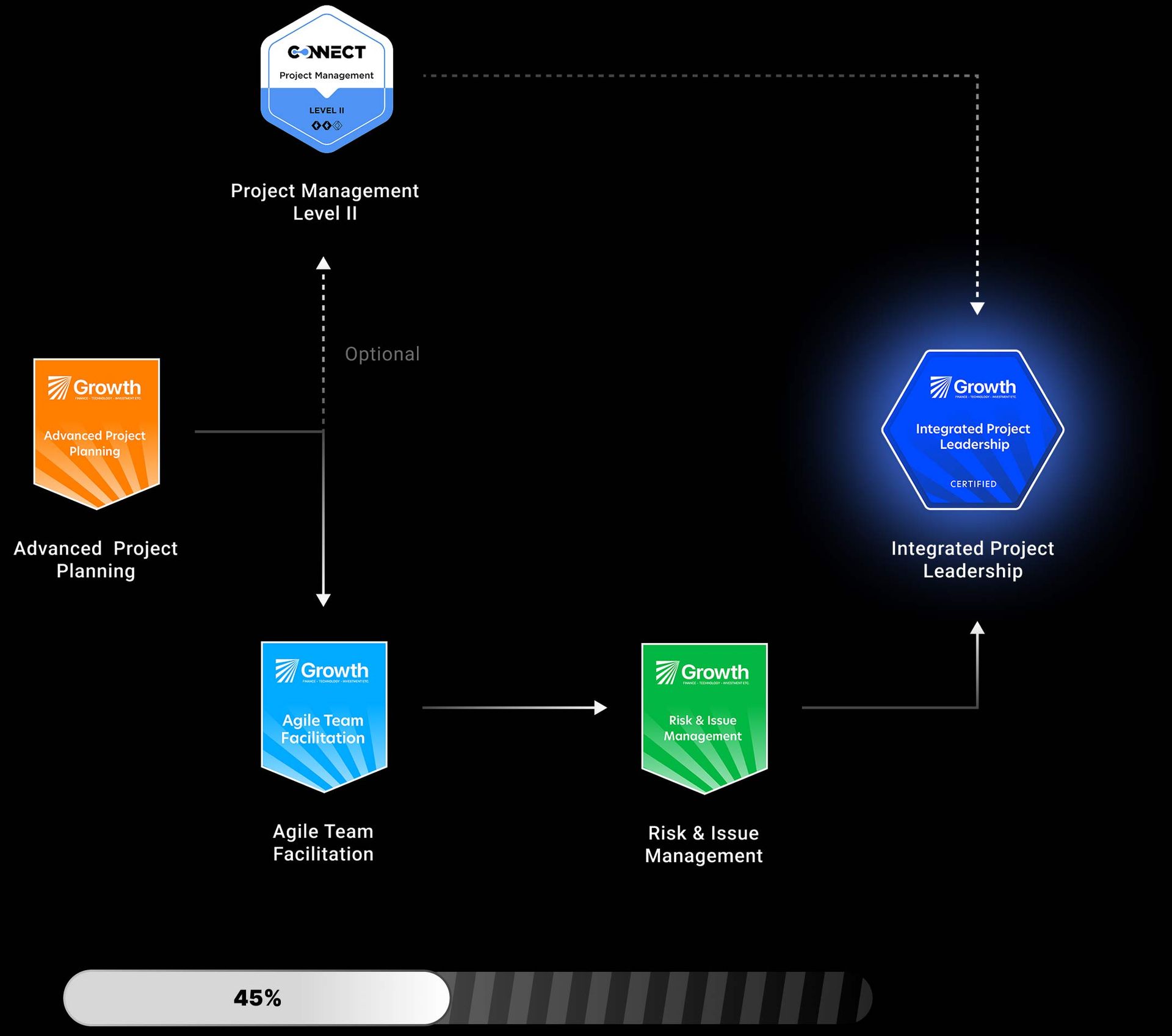 Diagram showing project management levels and related courses