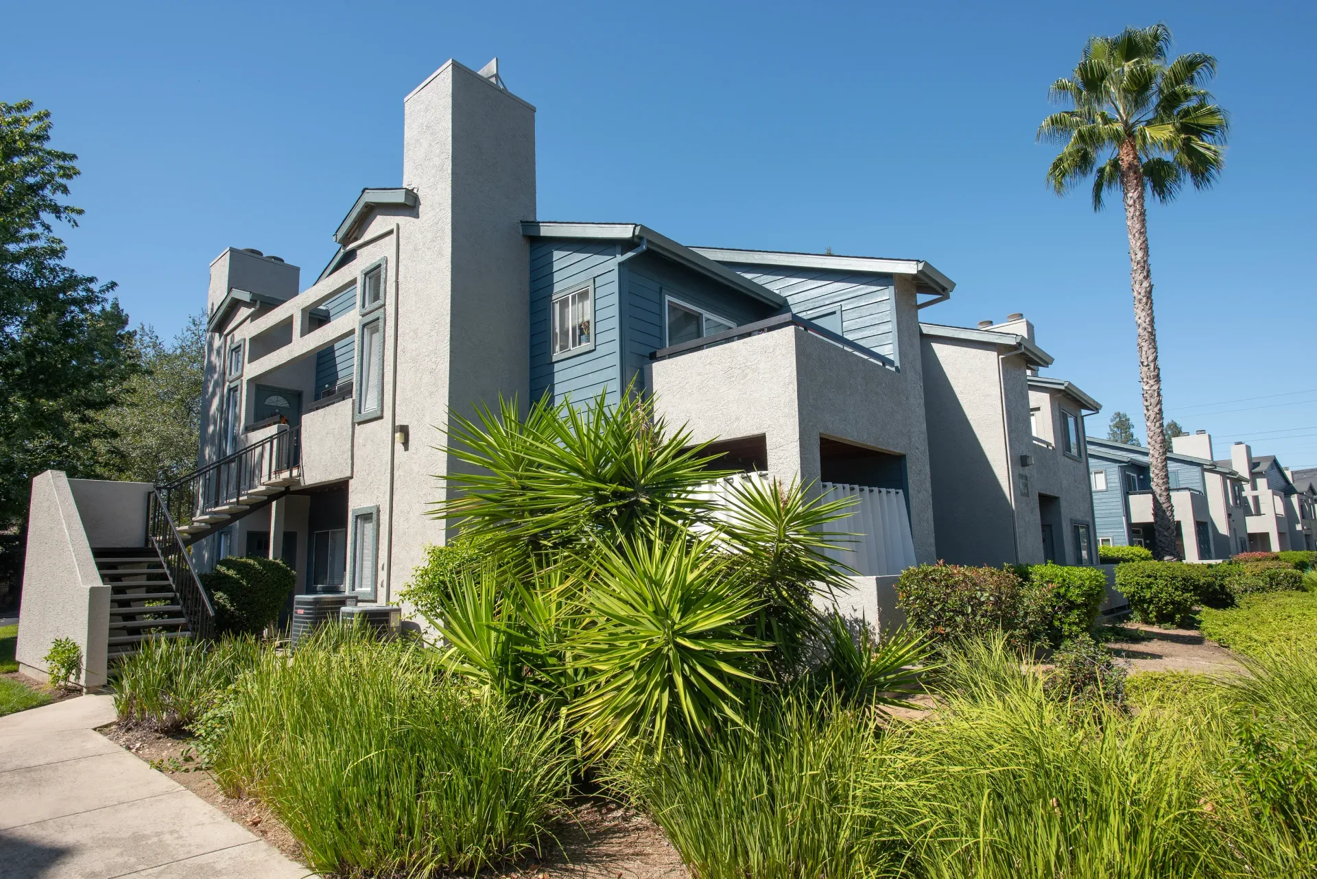 Exterior view of a modern apartment community building with landscaping and a tall palm tree.