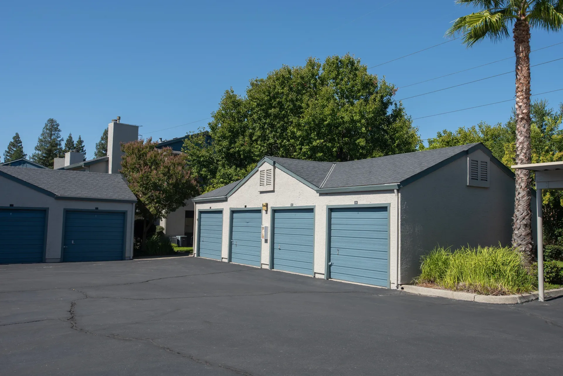 Exterior view of a multifamily property with blue garage doors and palm trees.