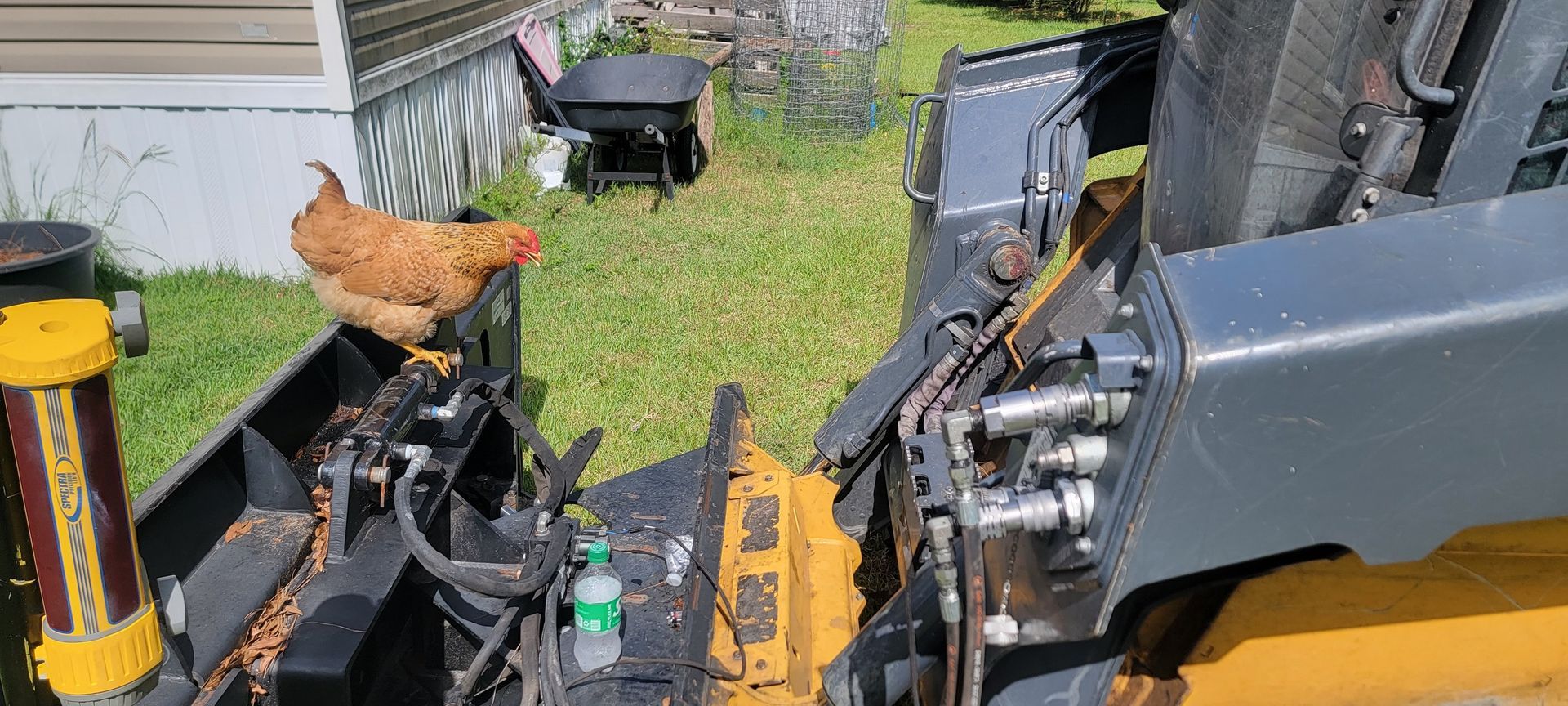 A chicken is sitting on top of a machine in a yard.
