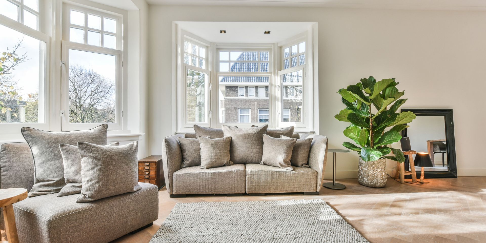 Living room with sofa, large windows, and potted plant.