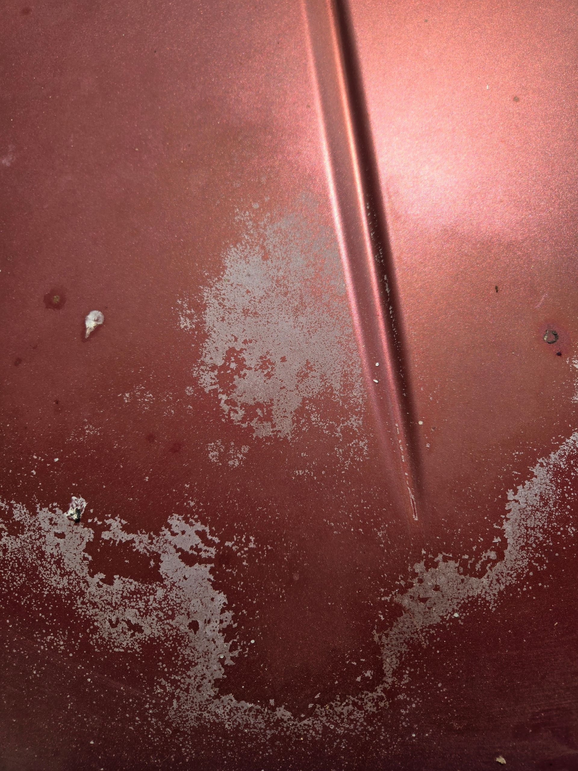 Picture of Car Paint Failure.