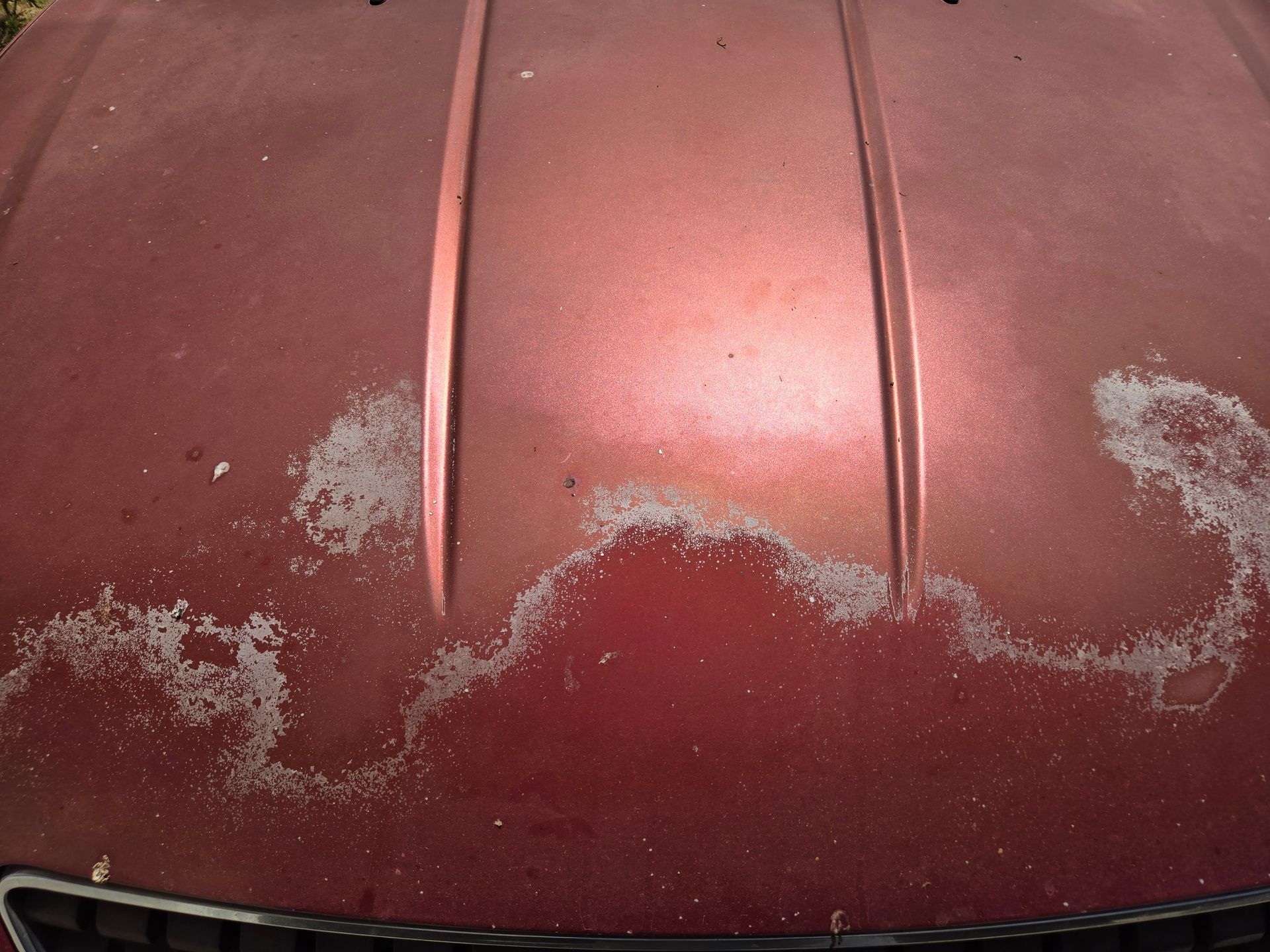 Picture of Car Paint Delamination. 