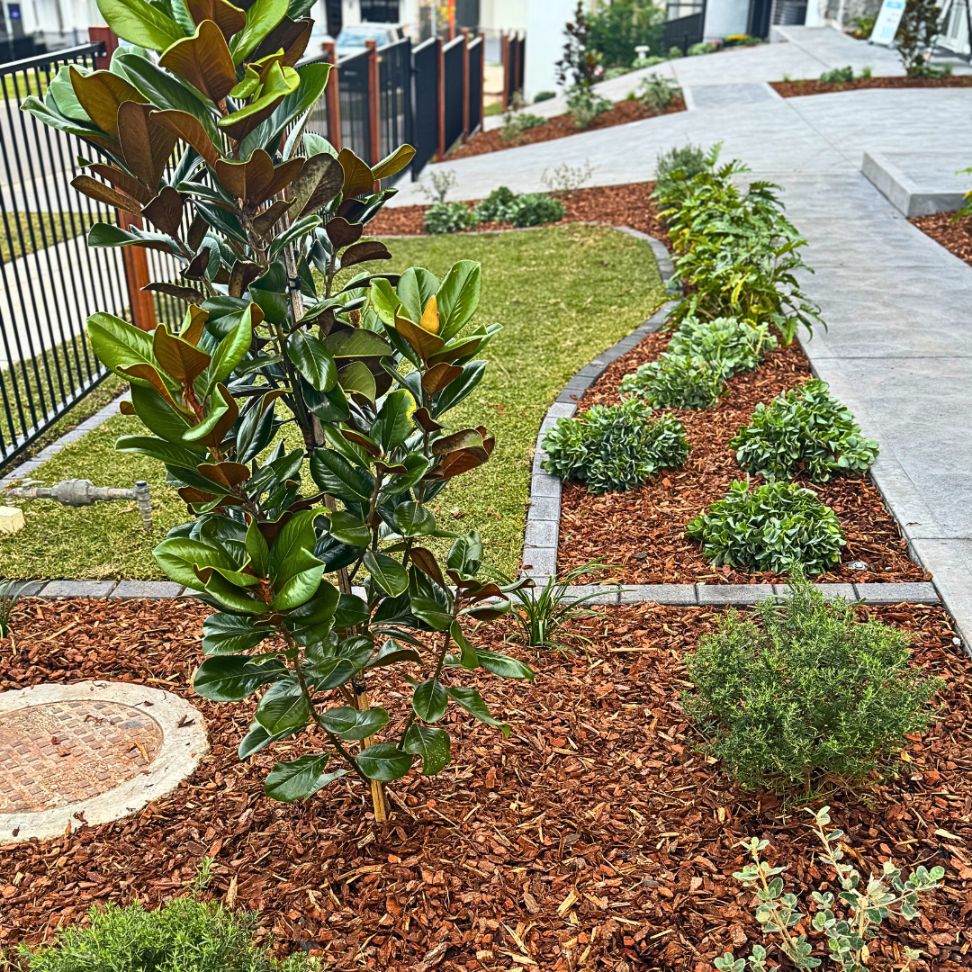 The front of a house with a walkway leading to it